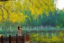 7m足球比分即时比分-揭秘7m足球比分，实时追踪，让每一场赛事尽在掌握！